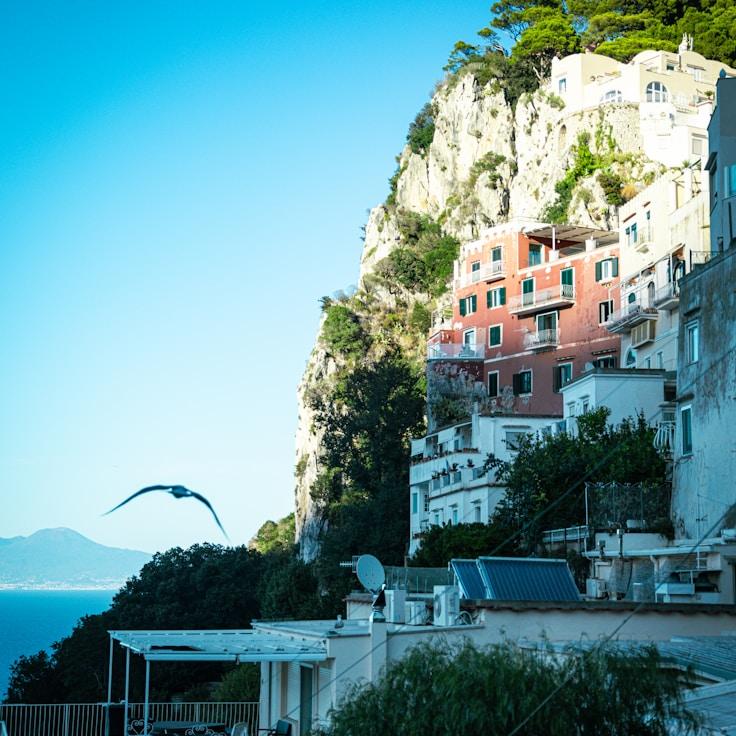 Family terraces and cafés for calm evenings in Rome